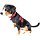 Hundebedarf