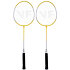 Satz A Complete Badmintonsatz