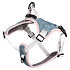 Mesh Hundegeschirr blau