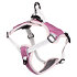 Mesh Hundegeschirr violett
