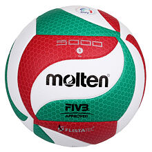 V5M 5000 Ball für Volleyball
