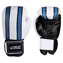 Boxing gloves Box-Handschuhe weiß-blau