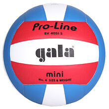 BV4051S Training Mini Ball für Volleyball