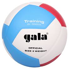 BV5565S Training 12 Ball für Volleyball