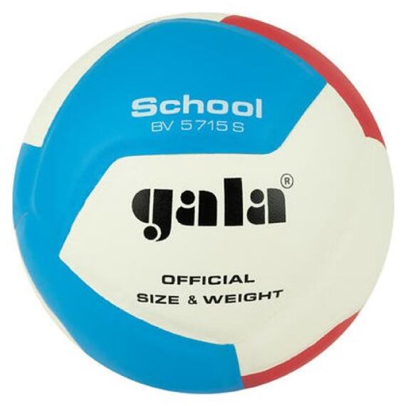 BV5715S School 12 volejbalový míč