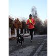 Runner Buddy 1.0 vodítko na běhání se psem žlutá
