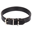 Dog Leash Hundehalsband schwarz