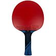Ovtcharov Platin pálka na stolní tenis