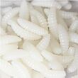 Bait Soft Worms umělí červi 50 ks bílá