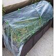 Plant Shed 8C konstrukce na ochranu rostlin 250 x 80 x 80 cm