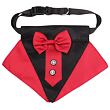 Formal Hundehalsband Fliege rot