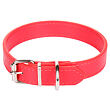 Dog Leash Hundehalsband rot