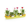 Minigarden 60 Spring Mix truhlík