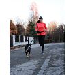 Runner Buddy 1.0 vodítko na běhání se psem černá