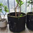 Grow Bag 26L textilní květináč