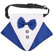 Formal Hundehalsband Fliege blau