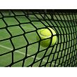 Club TN30 Tennisnetz