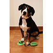 Doggie hračka pro psy