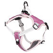 Mesh Hundegeschirr violett