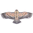 Eagle 17 létající drak